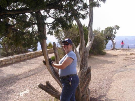 jackieinflag, age 69 from Flagstaff, AZ