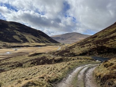 ***starry-eyed**** (41) – Dundee mature contact over 40