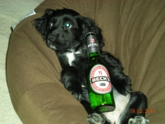 sarah443458 (41) – mature woman over 40 in Fareham